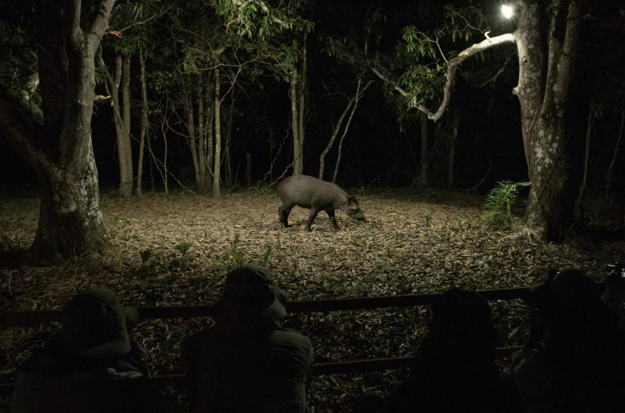 Southwild Pantanal Lodge Pixaim Exteriör bild