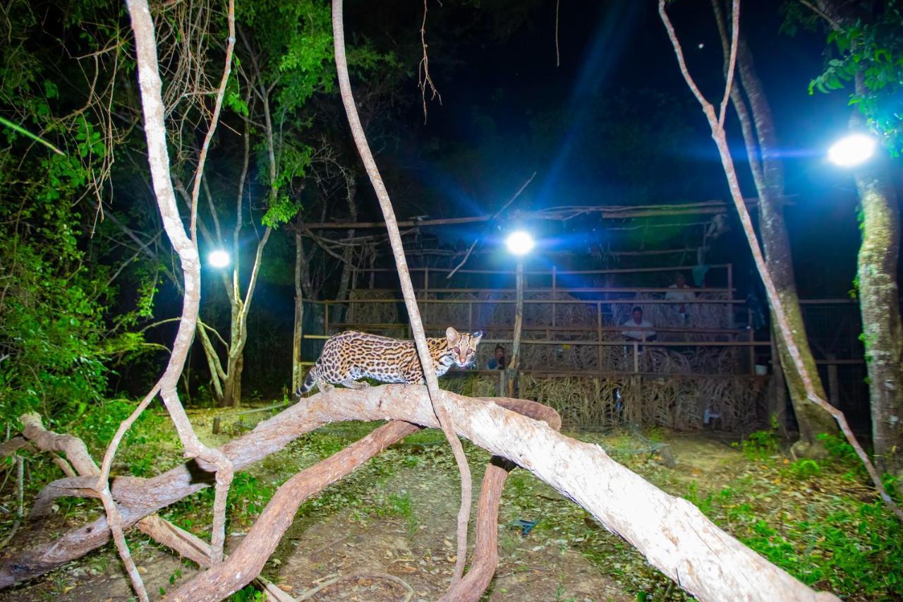 Southwild Pantanal Lodge Pixaim Exteriör bild