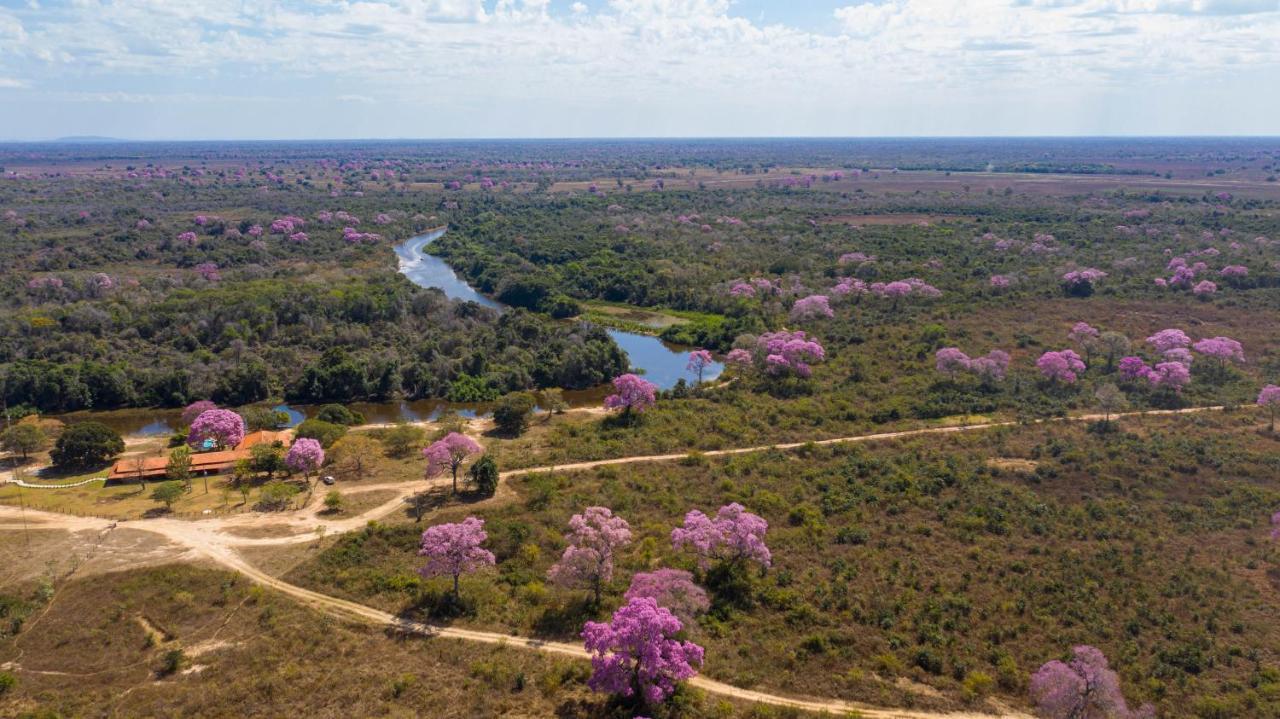Southwild Pantanal Lodge Pixaim Exteriör bild