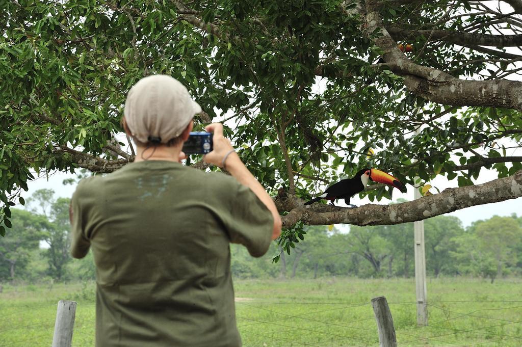 Southwild Pantanal Lodge Pixaim Exteriör bild