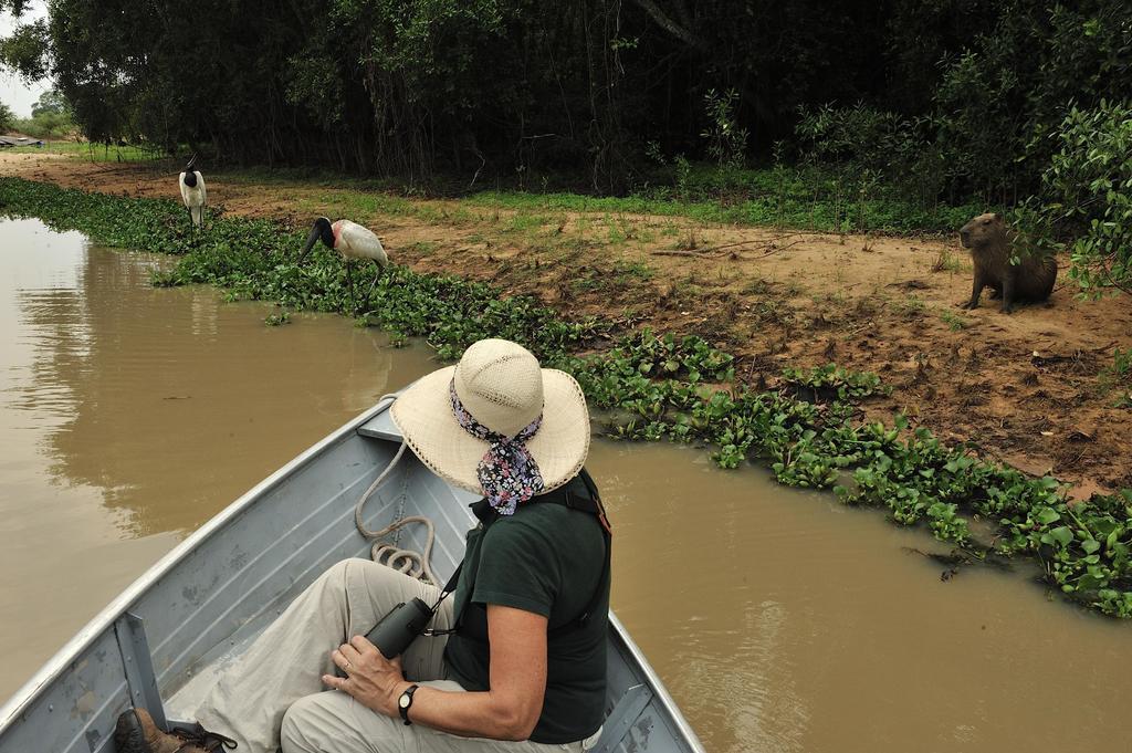 Southwild Pantanal Lodge Pixaim Exteriör bild