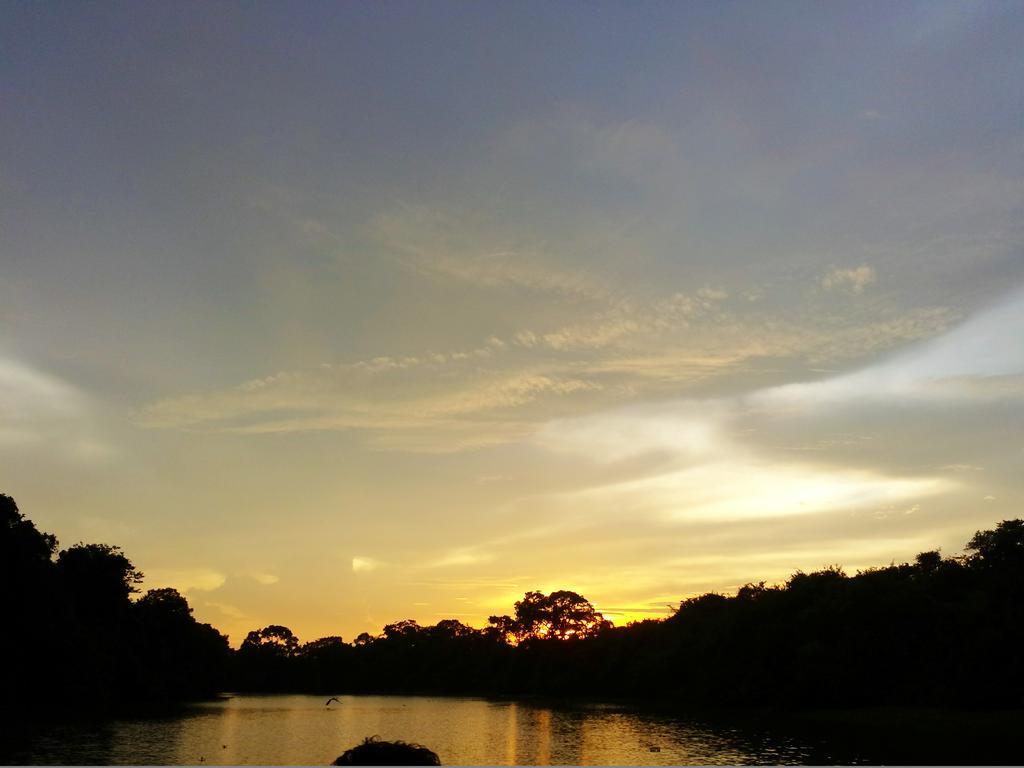 Southwild Pantanal Lodge Pixaim Exteriör bild