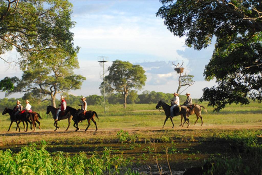 Southwild Pantanal Lodge Pixaim Exteriör bild