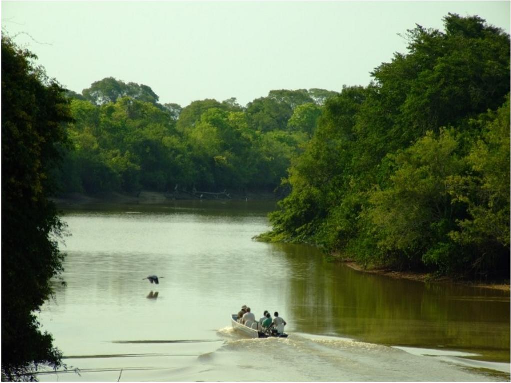 Southwild Pantanal Lodge Pixaim Exteriör bild